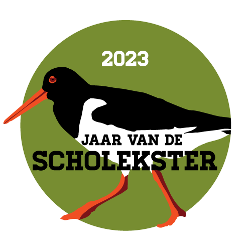 2023, het jaar van de Scholekster